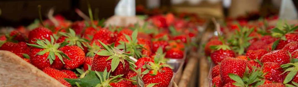 Strawberry_UpickPage